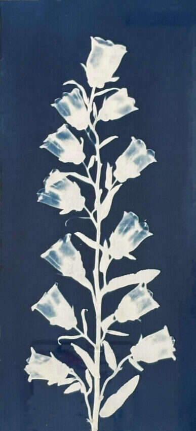 Untitled by Lijin Zeng