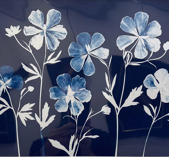 painting classes for adults sugar land
